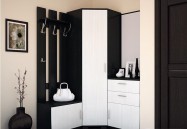 Шкаф для одежды угловой Дуэт 16.13