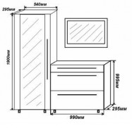 Прихожая Токио-2