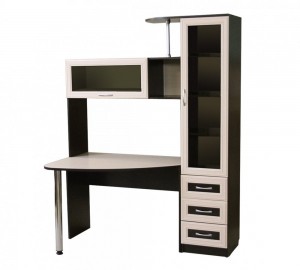 Компьютерный стол "Бонус-2"