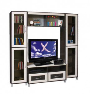 Стойка для ТВ-С2