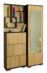  Шкаф комбинированный Дебют-3