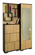 Шкаф комбинированный Дебют-3