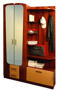  Шкаф комбинированный Дебют-7