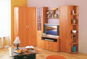 Гостиная Лотос 3